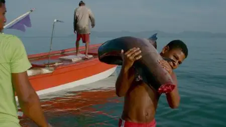 Sharkwater Extinction (2018)
