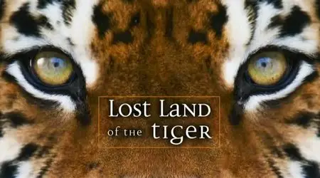 BBC - Lost Land of the Tiger (2010)