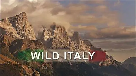 Wild Italy: Series 1 (2014)