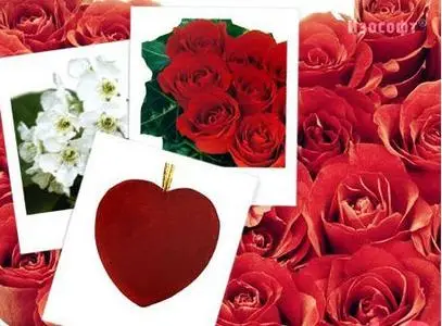 Izosoft Vol. 18 - Valentine's Day