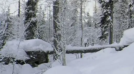 Studio Babalsberg Film - Happy People: A Year In The Taiga (2011)