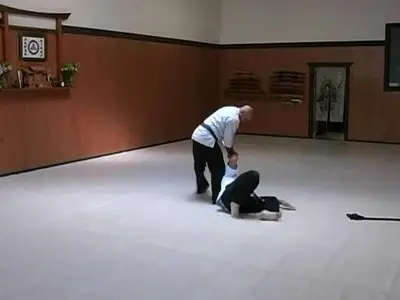 Introduction to Seibukan Jujutsu