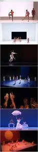 Alvin Ailey American Dance Theater: Chroma, Grace, Takademe, Revelations (2016) [Blu-Ray]