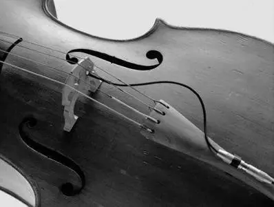 Antonin Dvorak - Cello Concerto Op.104, 'Dumky' Trio Op.90