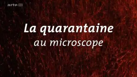 (Arte) La quarantaine au microscope (2016)