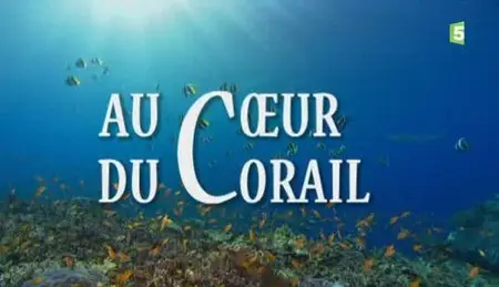 (Fr5) Au cœur du corail (2012){Re-UP}
