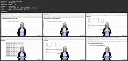 Fundamental Excel Skills For Accountants And Finance Staff