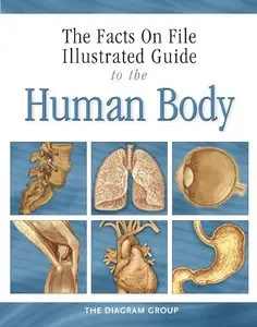 The Facts on File Illustrated Guide to the Human Body: Digestive System