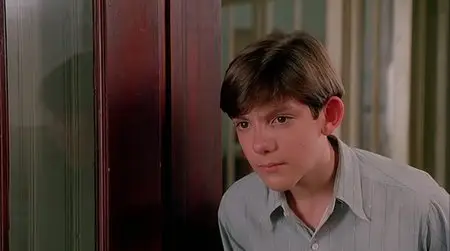 Rambling Rose (1991)