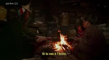 (Arte) Happiness - Une vie meilleure (2014)