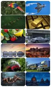 Beautiful Mixed Wallpapers Pack 955