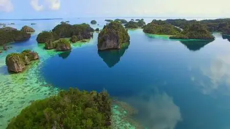 Nat.Geo.Wild - Paradise Islands: Series 1 (2021)