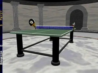 Portable  Table Tennis Pro 1.43