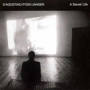 D'Agostino / Foxx / Jansen - A Secret Life (2009)
