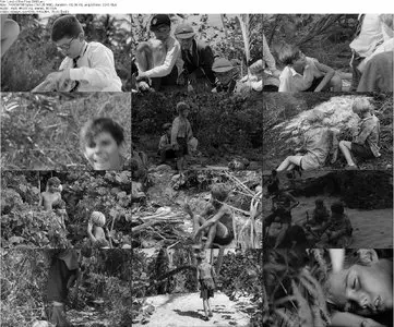 Lord of the Flies (1990)