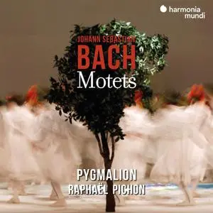 Pygmalion & Raphaël Pichon - Johann Sebastian Bach: Motets (2020)