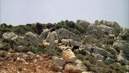 Mediterraneo (1991)