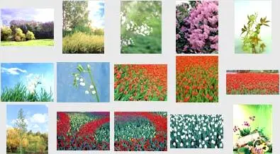 Izosoft 112: Spring 2