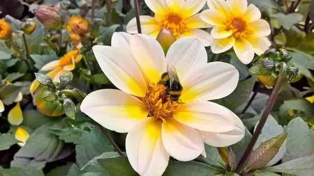 A Beginners Guide To Sustainable Gardening