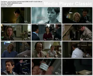 Law and Order Criminal Intent S08E14 Major Case