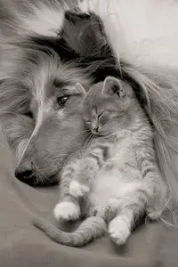 World In Photo 216