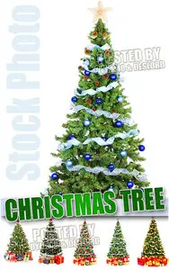 Xmas tree - UHQ Stock Photo