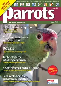 Parrots - June 2024