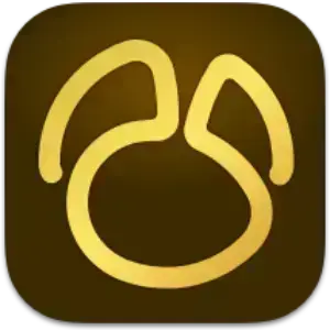 Navicat Premium 17.2.6