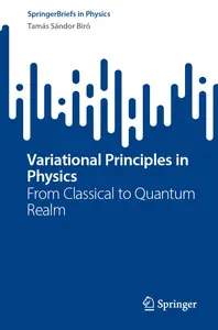 Variational Principles in Physics: From Classical to Quantum Realm (SpringerBriefs in Physics)