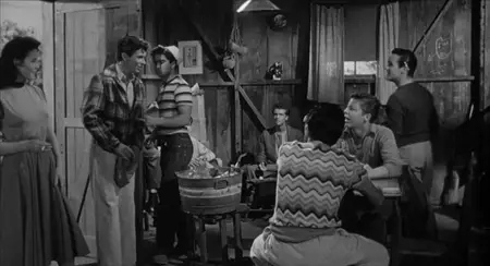 Cell 2455 Death Row (1955)