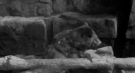 Cell 2455 Death Row (1955)
