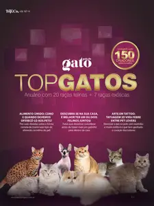 Pulo do Gato - Novembro 2025