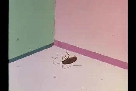 Chibi Maruko-chan (1990) 138 (480p)  - " Chibi Maruko-chan (1990) 138 (480p par2" yEnc