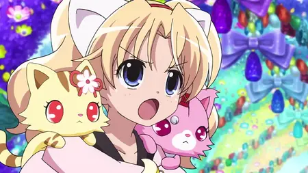 Jewelpet Tinkle - 42 (BD 1920x1080 x 264 Flac mkv" yEnc