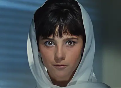 Kidnapping, Caucasian Style (1967)