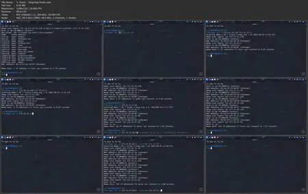 Network Discovery with Nmap