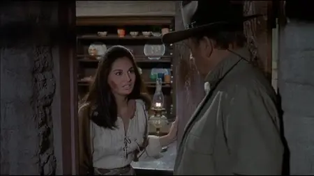 Rio Lobo (1970)