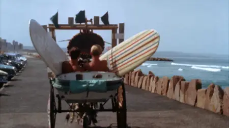 The Endless Summer (1966)