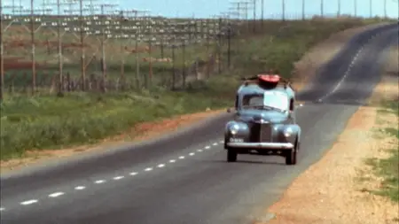 The Endless Summer (1966)