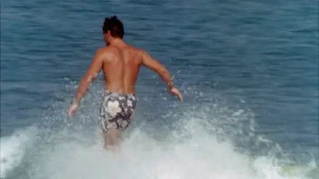 The Endless Summer (1966)