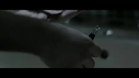 Muse (2017)