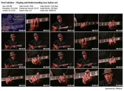 Fred Sokolow - Playing and Understanding Jazz Guitar