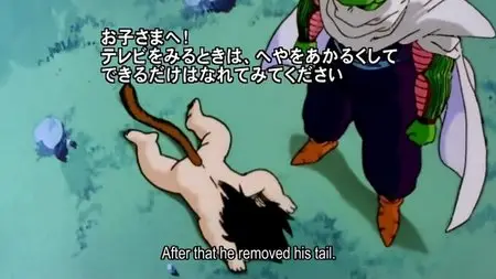 Dragon Ball Kai - Season 1, Episode 06: Finally Arriving at the End! Kaio’s Playful Test
