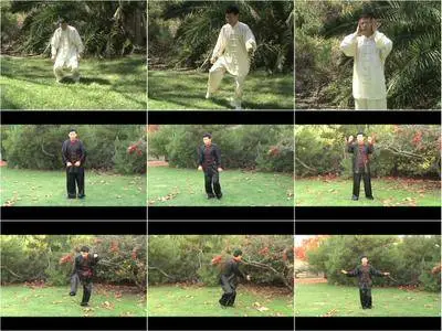 Chinese Health Qigong: 5 Animal Frolics for Beginners