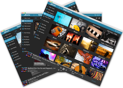 Sonic Studio Amarra Luxe v4.2.436 macOS