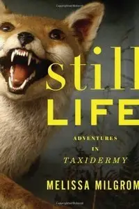 Still Life: Adventures in Taxidermy (repost)