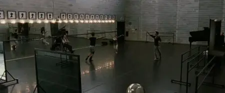 Il Cigno Nero (2010)
