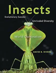 Insects: Evolutionary Success, Unrivaled Diversity, and World Domination