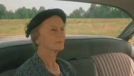 Driving Miss Daisy (1989)