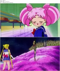 Sailor Moon R: The Movie: The Promise of the Rose (1993)